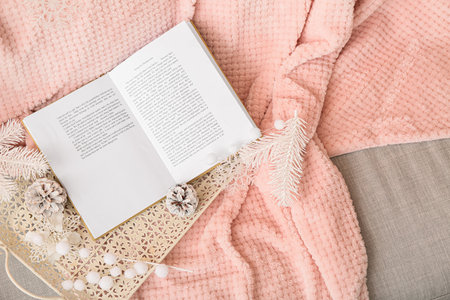 Tray with beautiful winter decor and opened book on comfortable sofaの写真素材