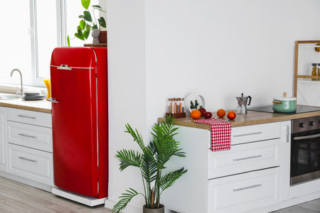 Stylish red refrigerator, counters and houseplants in kitchenの写真素材