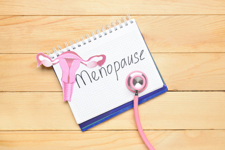 Notebook with word MENOPAUSE, paper uterus and stethoscope on light wooden backgroundの写真素材