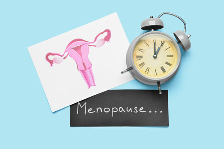 Papers with word MENOPAUSE, uterus and alarm clock on blue backgroundの写真素材