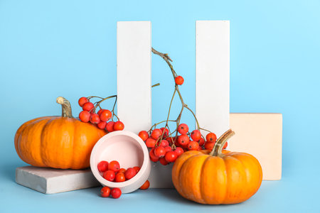 Composition with Halloween pumpkins, rowan berries and decor on color backgroundの写真素材