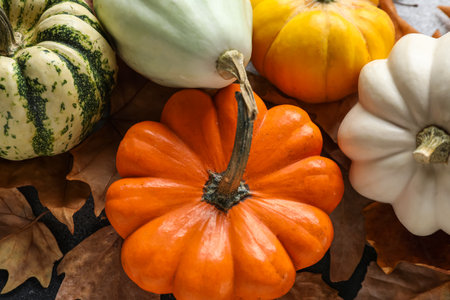 Ripe Halloween pumpkins and autumn leaves, closeupの写真素材