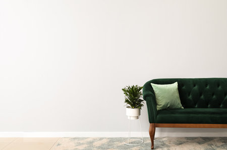 New sofa and houseplant near light wallの写真素材