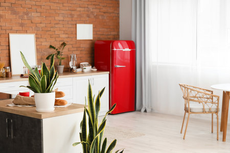 Interior of modern kitchen with stylish refrigerator, houseplants and countersの写真素材