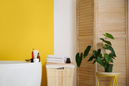 Stylish bathtub, basket, houseplant and folding screen near color wallの写真素材
