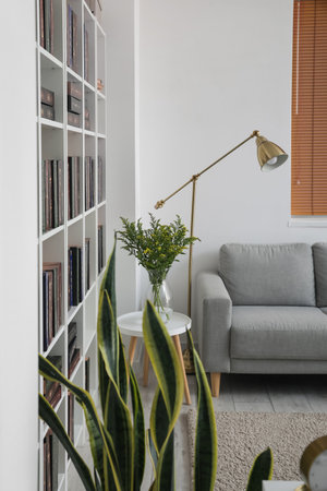 Bookcase with sofa in modern interior of roomの写真素材