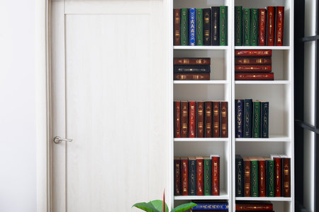 Shelf unit with books in home library