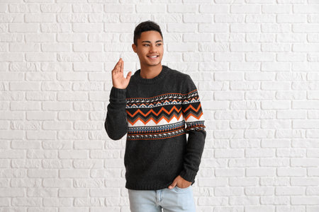 Handsome African-American guy in knitted sweater on white brick background