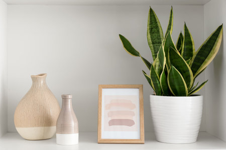 Shelf with vases, photo frame and houseplant in roomの写真素材