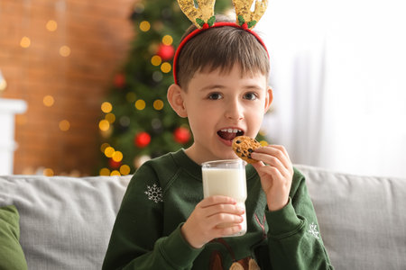 Portrait of little boy drinking milk and eating cookies at home on Christmas eveの写真素材