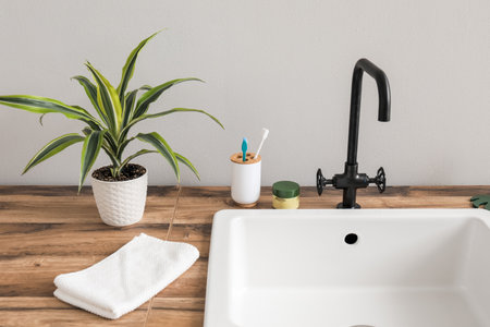 Bath accessories, houseplant and sink on table near light wallの写真素材
