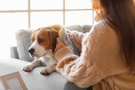 Woman covering her cute dog with warm plaidの写真素材