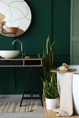 Interior of stylish bathroom with sink, mirror and houseplantsの写真素材