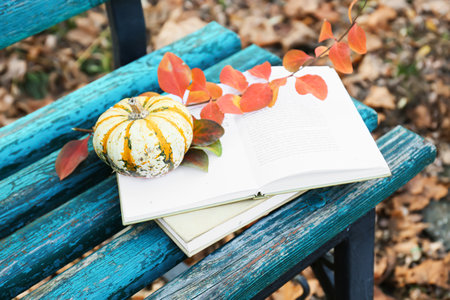 Books, beautiful branch and pumpkin on wooden bench in autumn park, closeupの写真素材