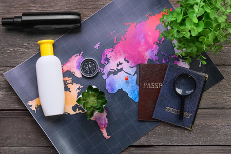 Houseplants, passports, compass and bottles with sunscreen on wooden background