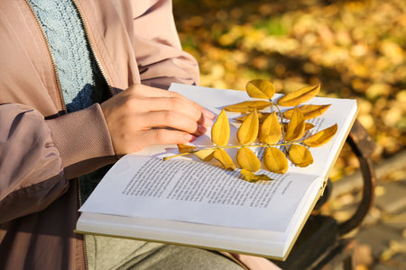 Female hands with opened book and autumn leaves, closeupの写真素材