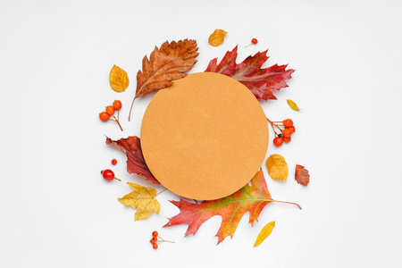 Composition with blank card and autumn leaves on white backgroundの写真素材