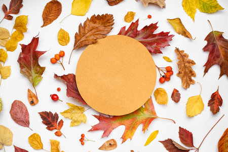Composition with blank card and autumn leaves on white backgroundの写真素材