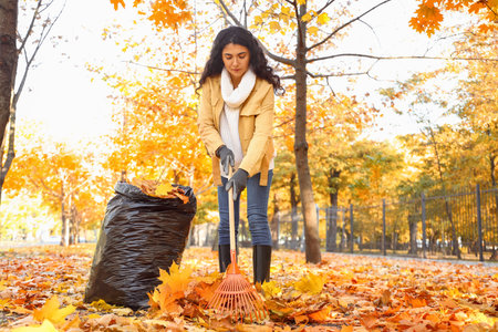 Woman gathering autumn leaves outdoorsの写真素材