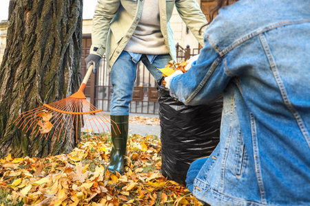 Couple gathering autumn leaves outdoorsの写真素材
