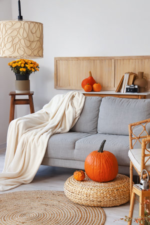 Comfortable sofa and pumpkins in modern living roomの写真素材