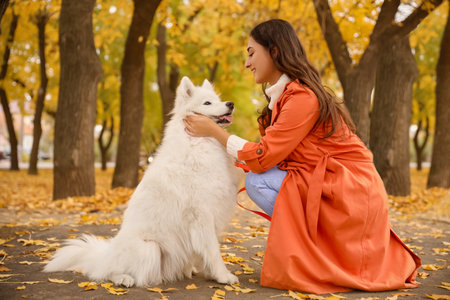 Young woman with cute Samoyed dog in autumn parkの写真素材