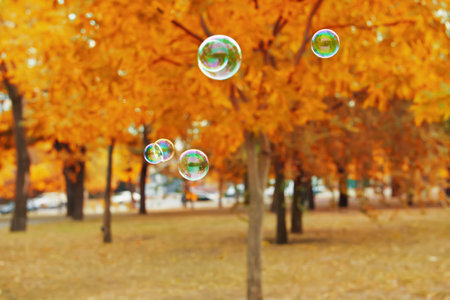 Beautiful soap bubbles in autumn parkの写真素材