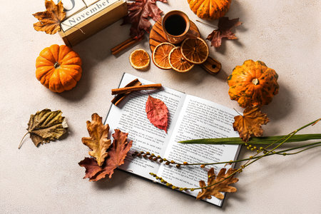 Autumn decor and book on light backgroundの写真素材