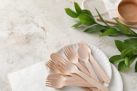 Eco tableware and plant branch on light backgroundの写真素材