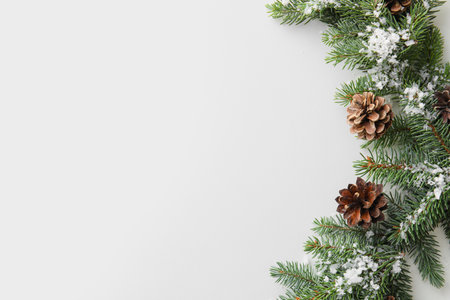 Fir tree branches with pine cones and snow on white backgroundの写真素材