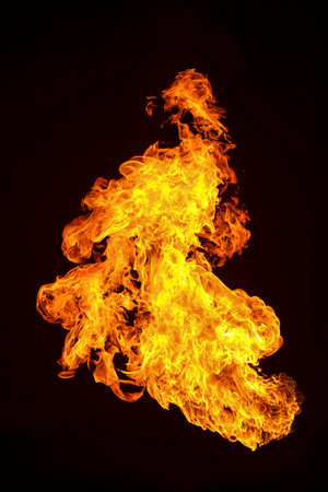 Burning flame on black background