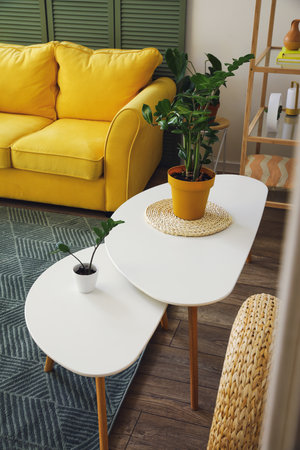 Wooden tables with houseplants in stylish living roomの写真素材
