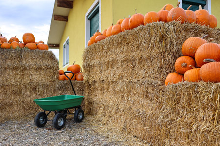 Trolley near haystacks with pumpkins at farmの写真素材