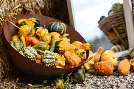 Bowl with fresh pumpkins near haystack at farmの写真素材