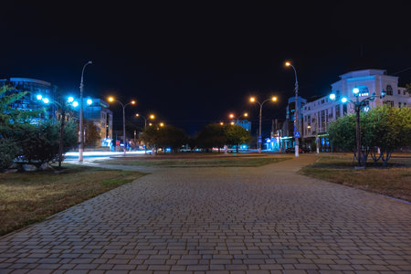 View of city park with street lights at nightの写真素材