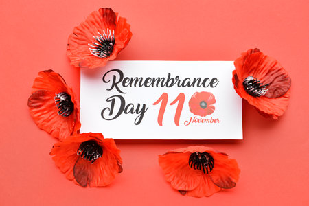 Remembrance Day in Canada. Red poppy flowers with card on red backgroundの写真素材