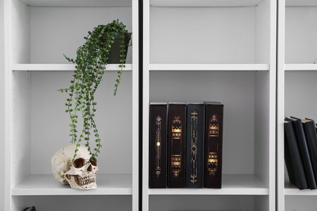 Modern book shelf with human skull and houseplant in room