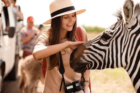 Female tourist with beautiful zebra in wildlife sanctuaryの写真素材