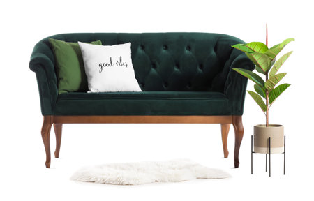 Deep green sofa with pillows and houseplant on white backgroundの写真素材
