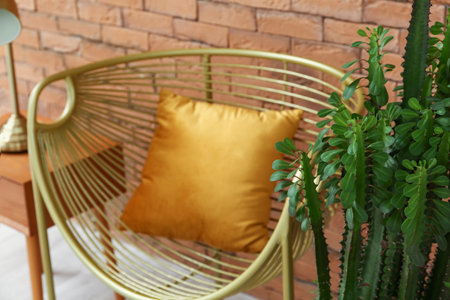 Stylish armchair with green succulent in interior of roomの写真素材