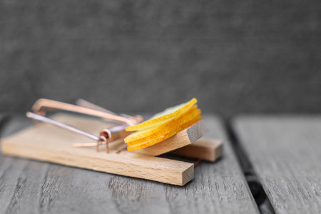 Wooden mousetrap with cheese outdoors, closeup