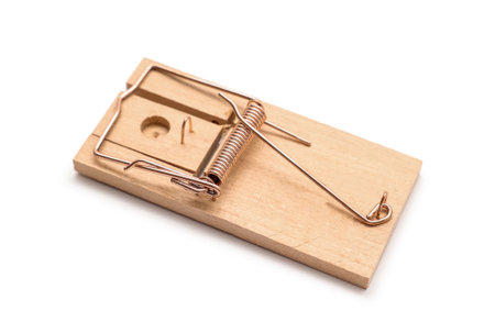 Empty wooden mousetrap on white background