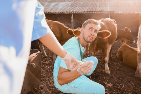 Veterinarians with vaccine for cows on farm