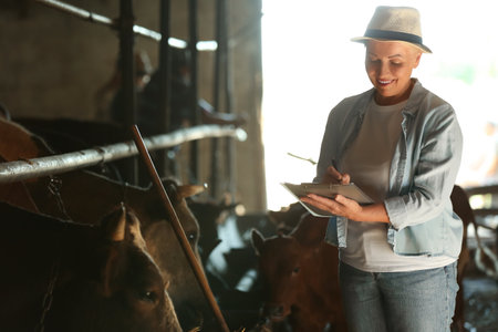 Mature female farmer working in cowshedの写真素材