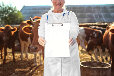 Veterinarian with empty paper sheet in paddock on farmの写真素材
