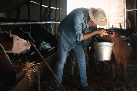 Mature male farmer working in cowshed