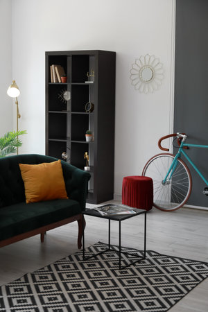 Interior of modern stylish room with sofa, shelf unit and bicycleの写真素材