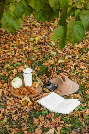Tray with coffee cup, croissants, photo camera, hat and book in autumn parkの写真素材