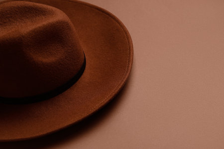 Stylish felt hat on brown backgroundの写真素材