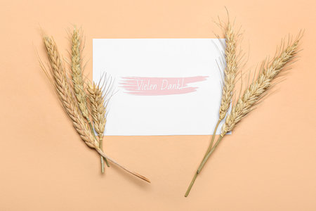 Card with text VIELEN DANK and spikelets on color backgroundの写真素材